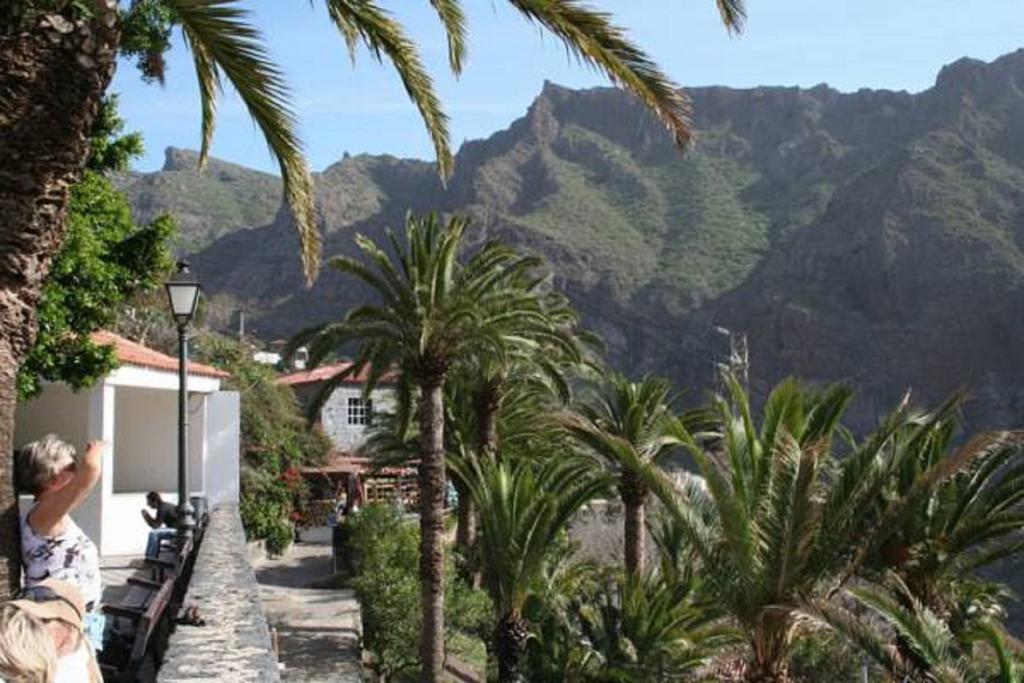 La Vista Guía de Isora