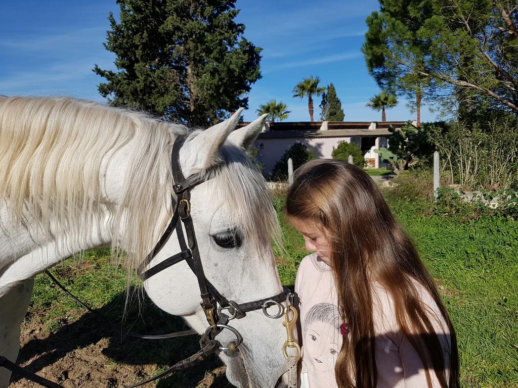 Guest house Finca Caballo Blanco *