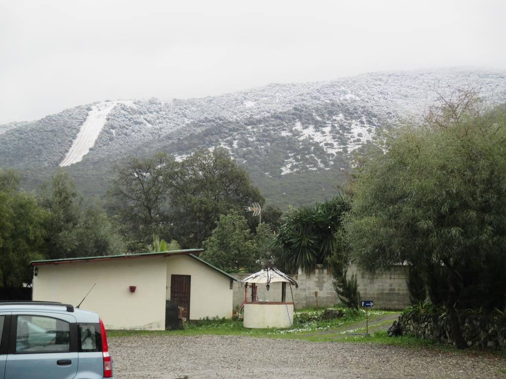Bed & Breakfast Finca La Mota