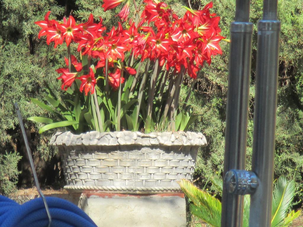 Bed & Breakfast Finca La Mota Alhaurin el Grande