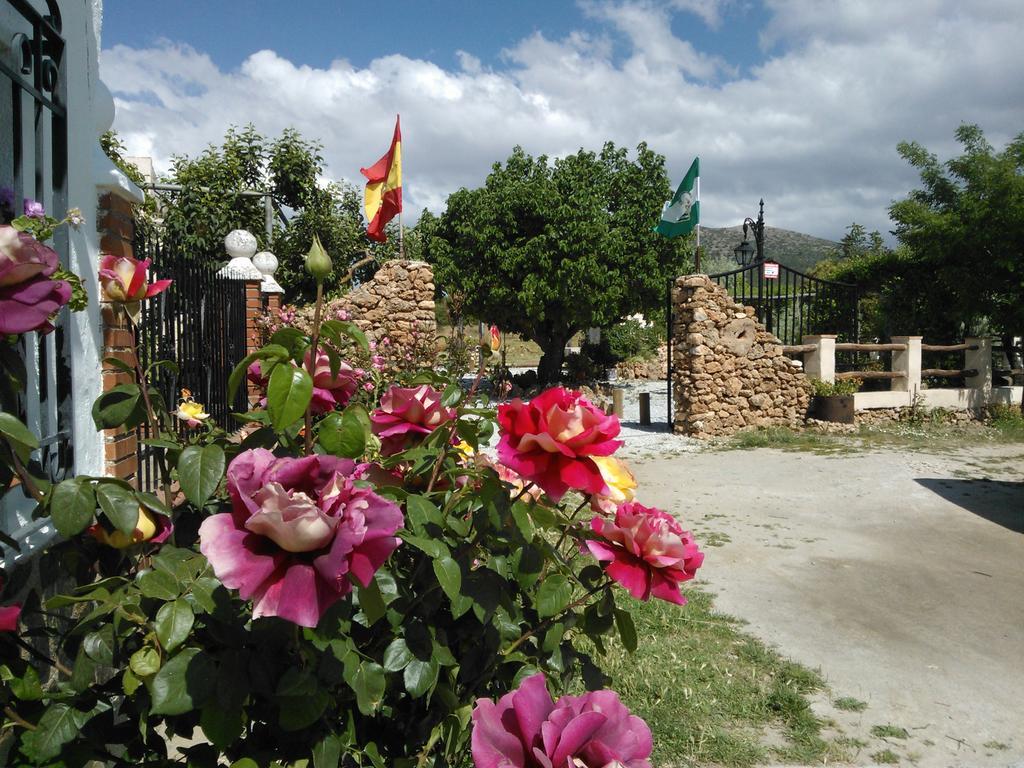 Cortijo Soledad