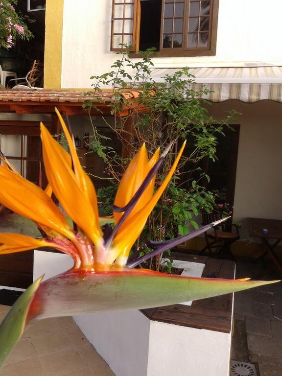 Casa Roberta Holiday home *