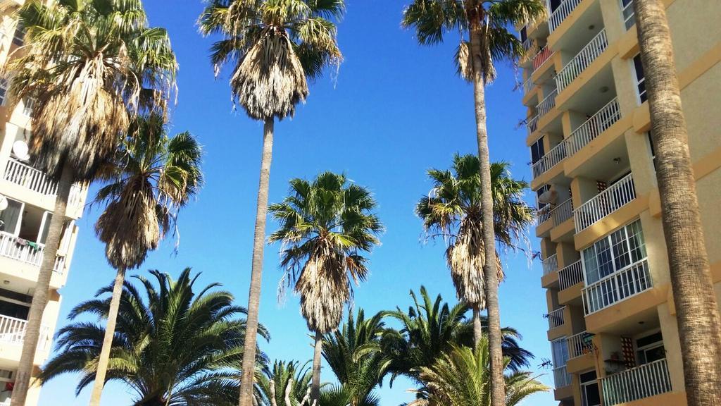 New Near The Beach Apartment Playa de las Americas (Tenerife)