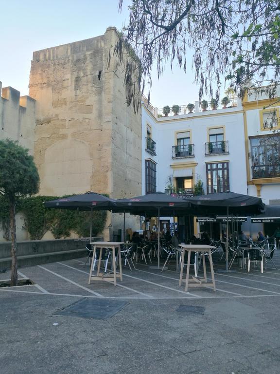 Dúplex Ancha Con Wifi Y Parking * Jerez de la Frontera