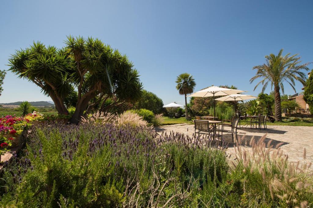 Casa rural Feliu
