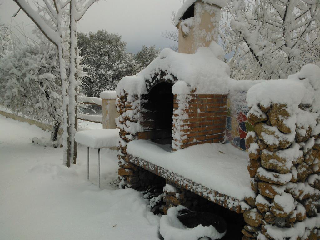 Cortijo Soledad * El Sauco