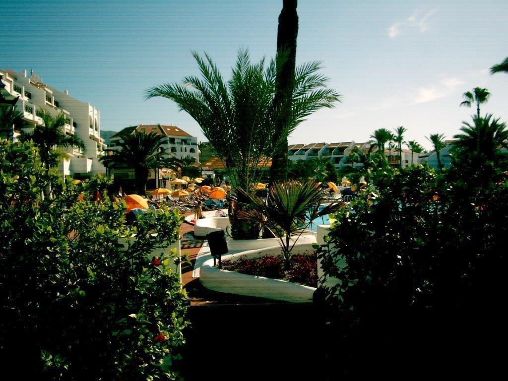 In The Golden Mile Tenerife * Playa de las Americas (Tenerife)