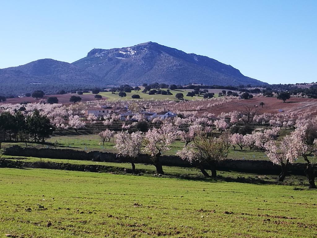 Cortijo Soledad Сasa de vacaciones *
