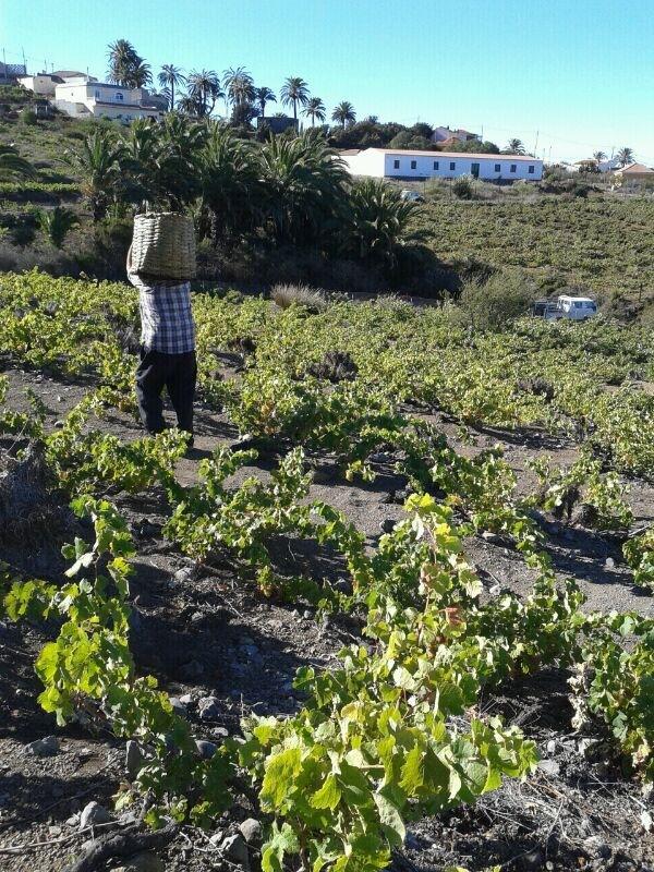 Amparo Hayas Casa rural *