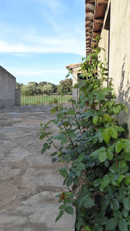 Mas De Sant Pau - Turistrat. Casa rural
