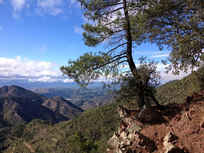 La Tramontana Estivella