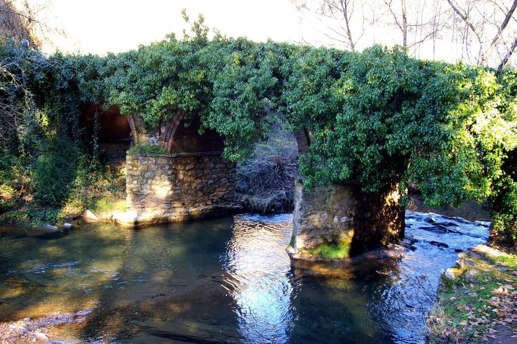 Pozos De La Nieve Constantina