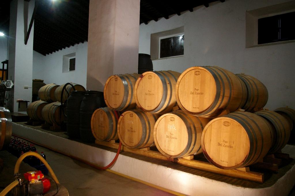 Pozos De La Nieve Apartment