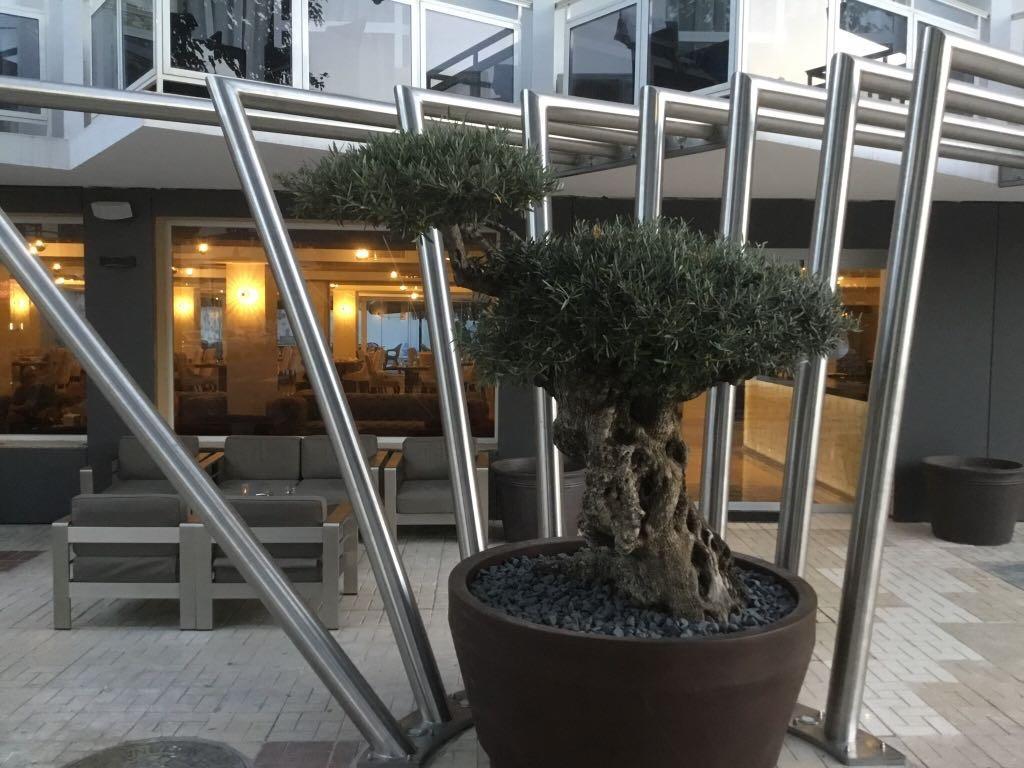 Essence Boutique By Don Paquito Hotel 4*