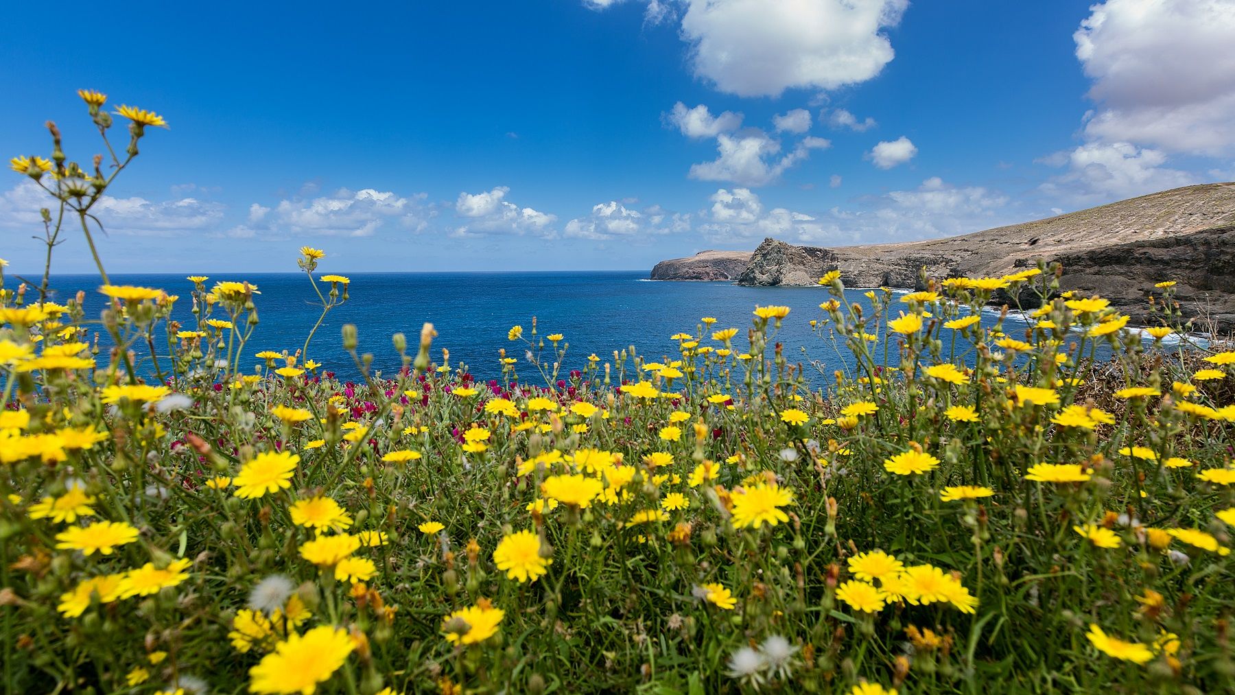 Occidental Roca Negra 4* Agaete (Gran Canaria)
