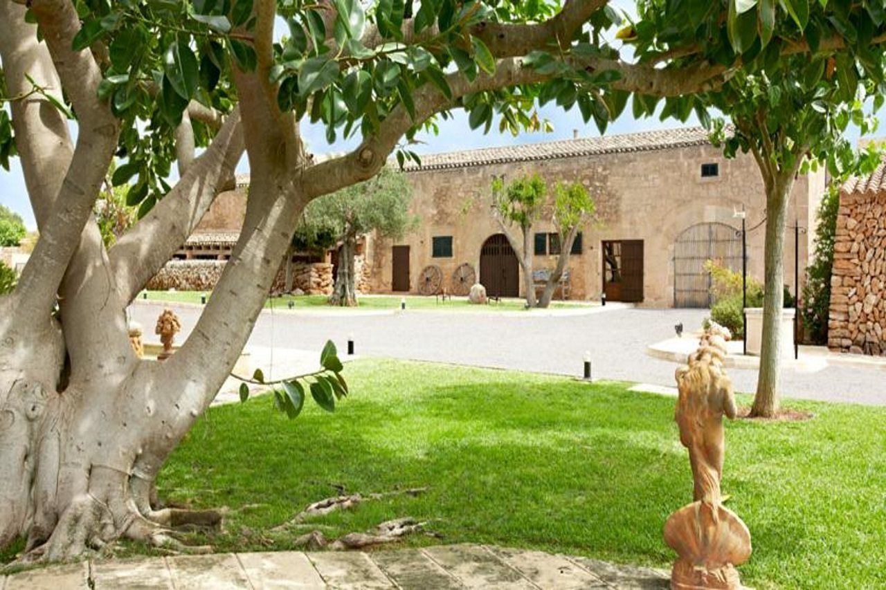 Puig De Ros D'alt * Llucmajor (Mallorca)