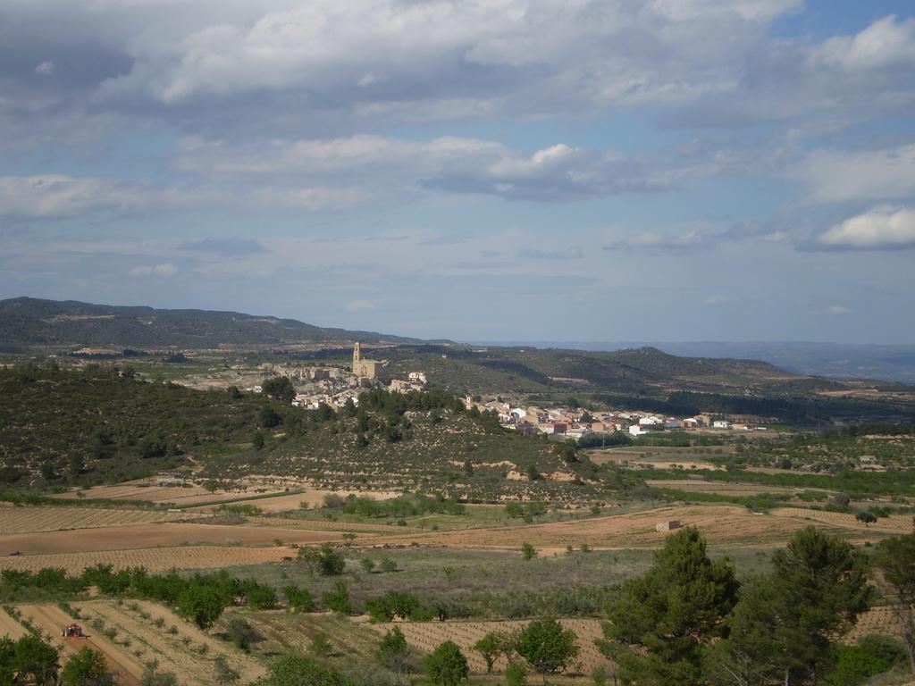 Els Temporers Apartment Corbera
