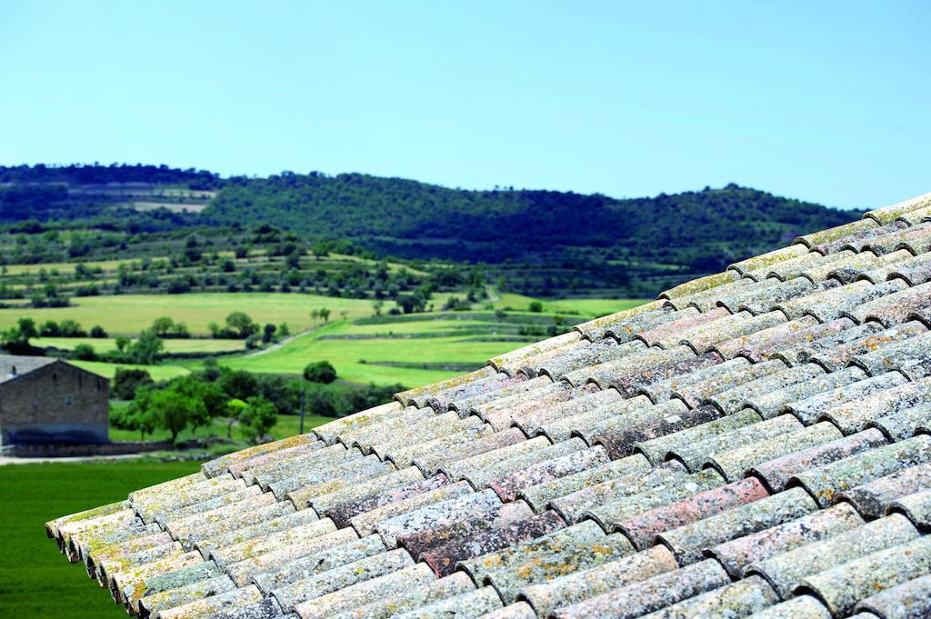 Palouet De Segarra