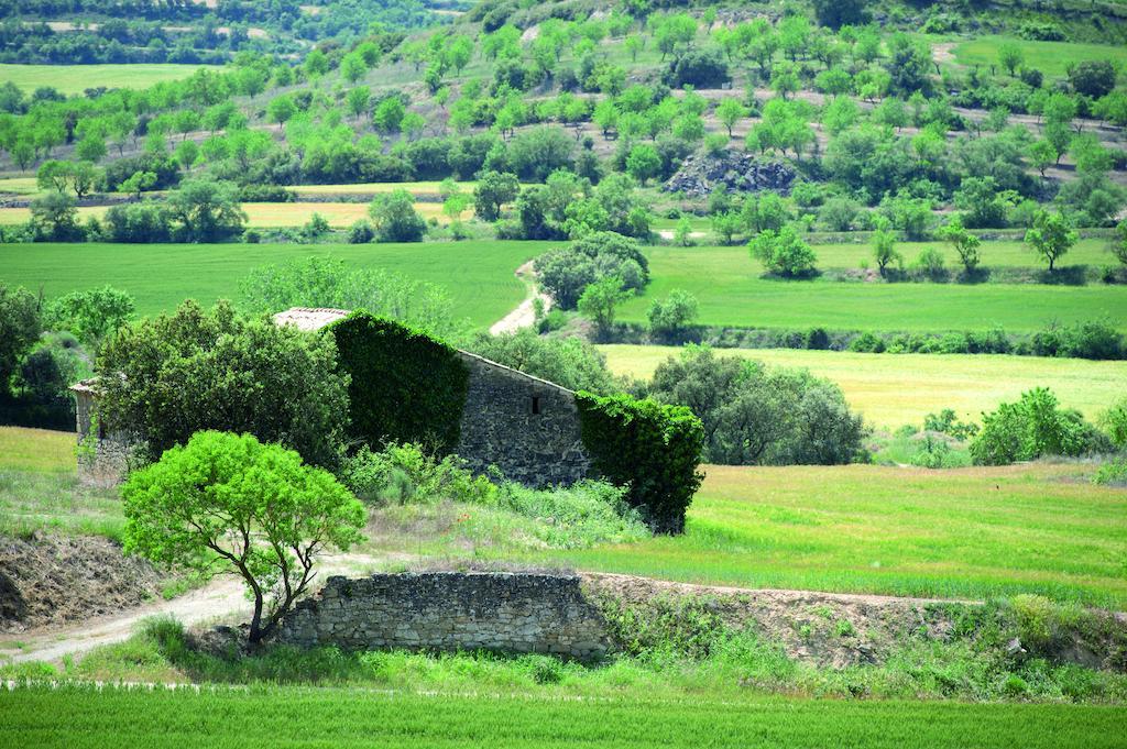 Palouet De Segarra Palouet