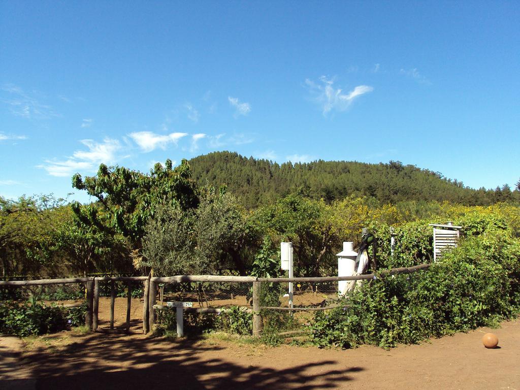 Campamento Quimpi Camping