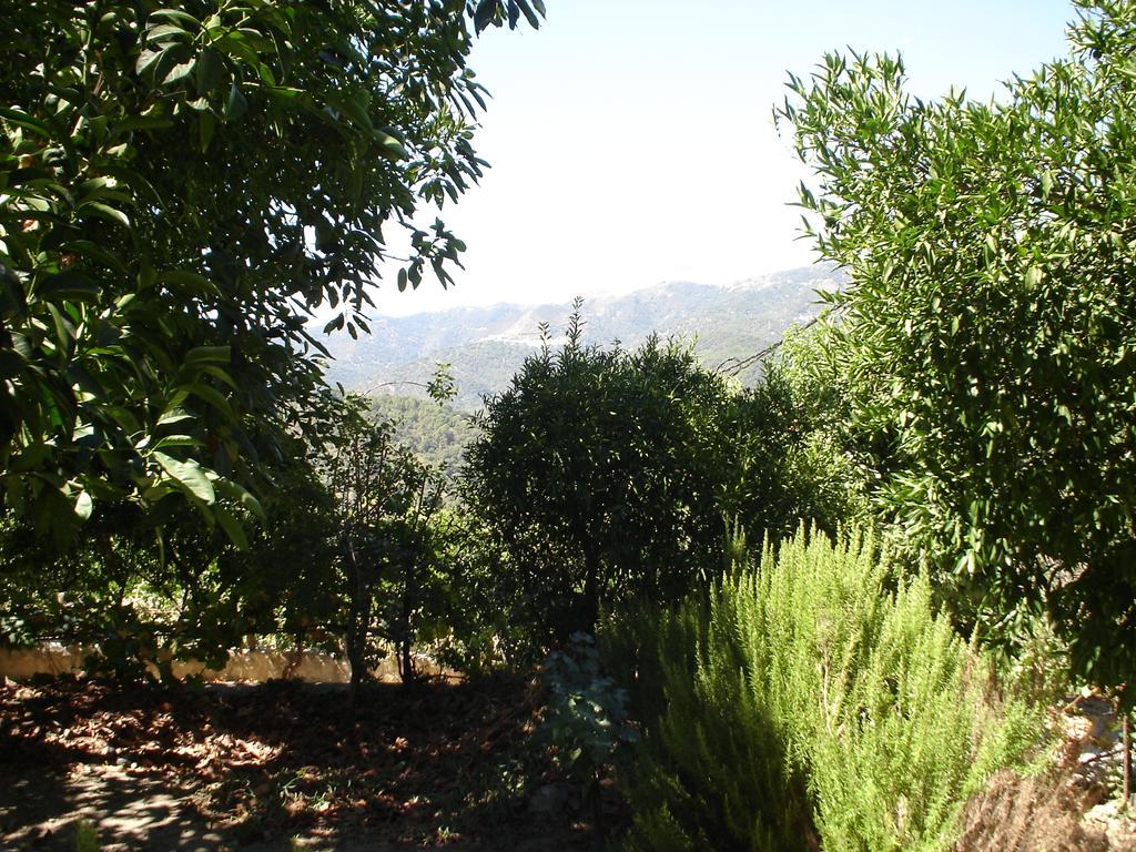 Finca Mazuqueto