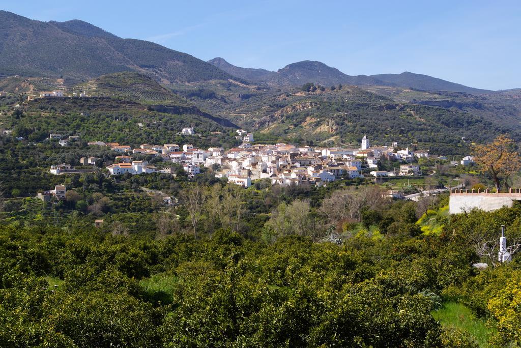 Y Rural Naranjos 2*