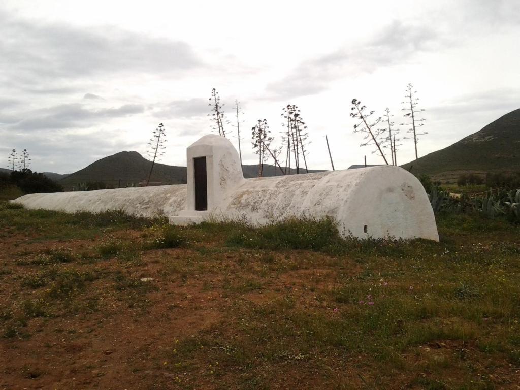 Olivares Rural Apartamento Los Albaricoques