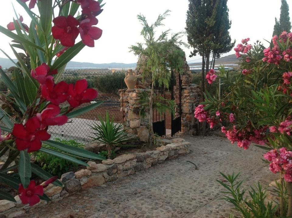Apartamento Olivares Rural *