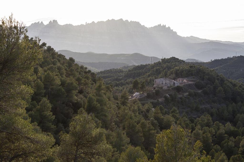Masia Casajoana Rural
