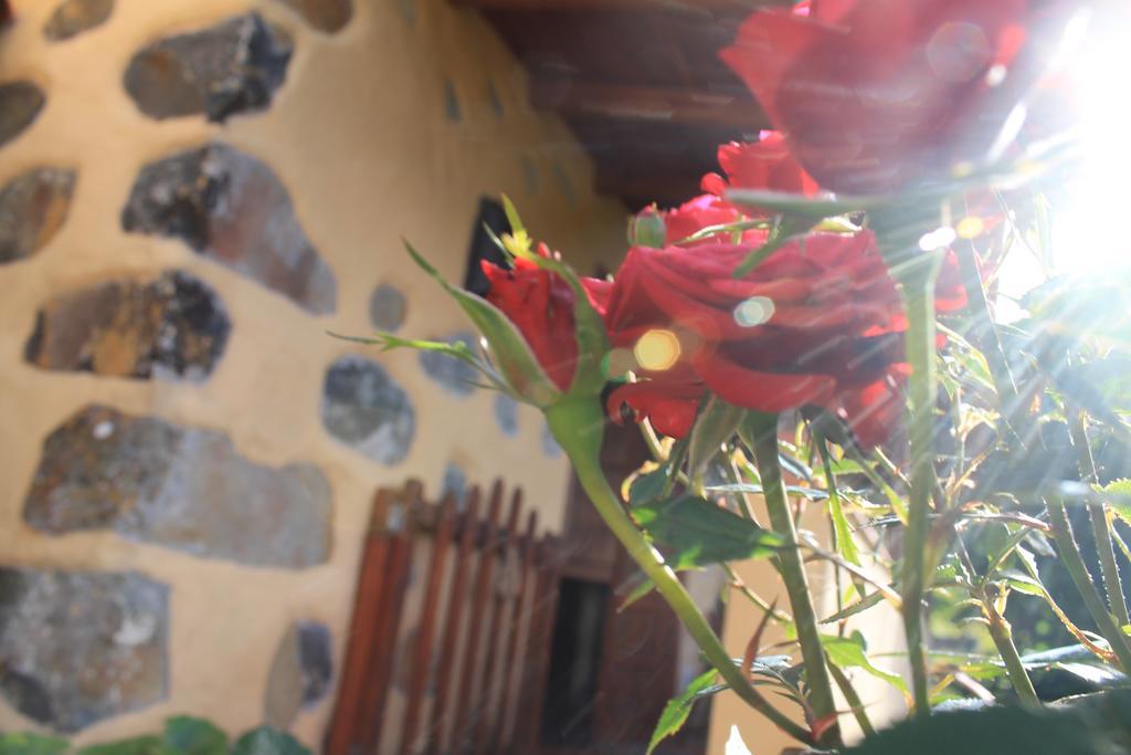 Holiday home Casa Rural Las Rosas Agulo