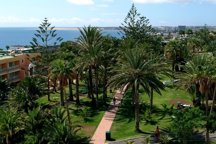 Hotel Abora Interclub Atlantic By Lopesan