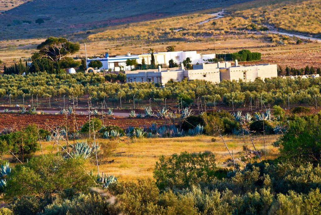 Apartamento Olivares Rural