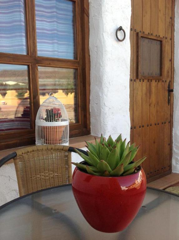 Olivares Rural Apartamento