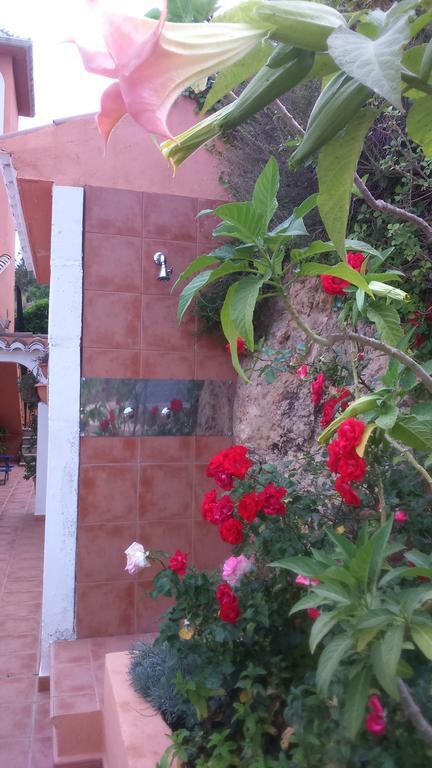 Casa La Torreta Apartamento