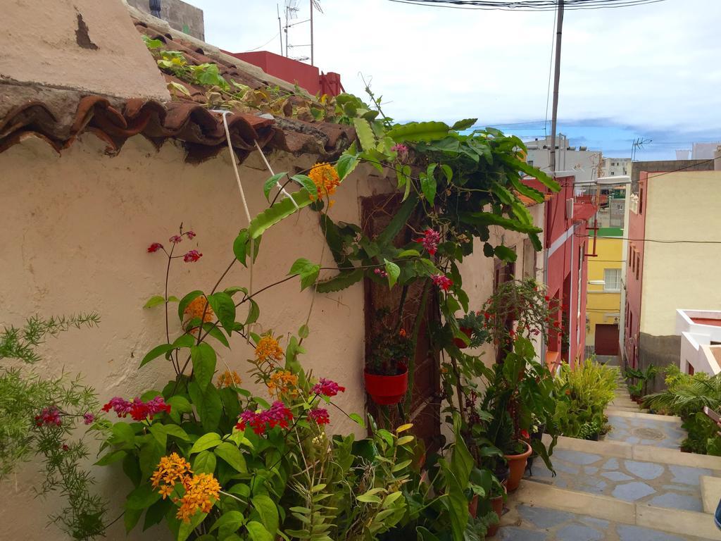 Apartamento Tipical House