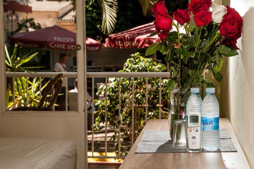 Alce Guest house