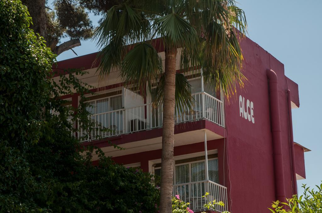 Alce Guest house *