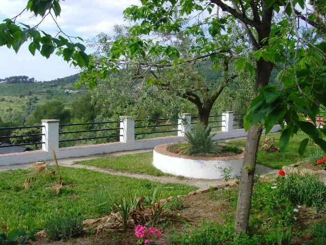 Holiday home El Pinaret