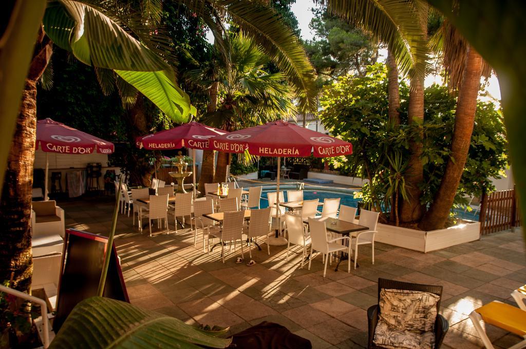 Alce Guest house *
