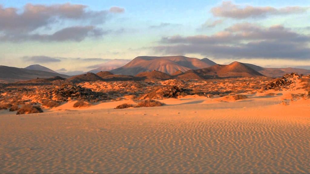 Greentree House * Corralejo