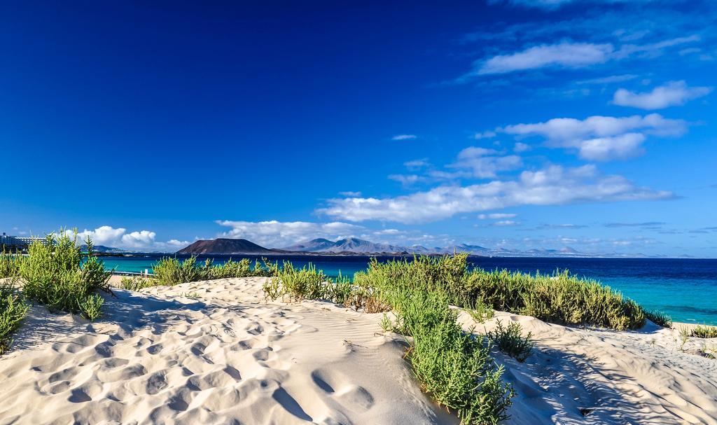 Greentree House Pensión Corralejo