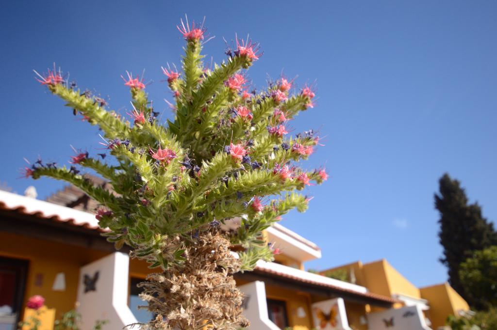 Alta Montaña 3*