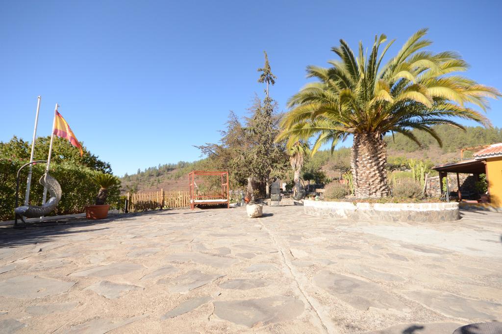 Alta Montaña Vilaflor