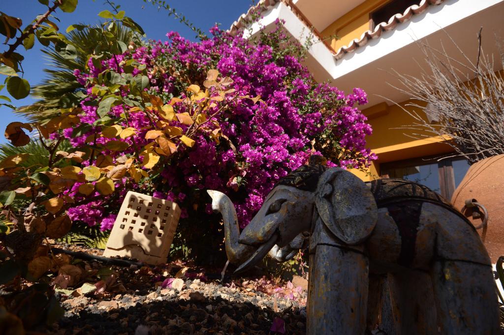 Alta Montaña Hotel 3*