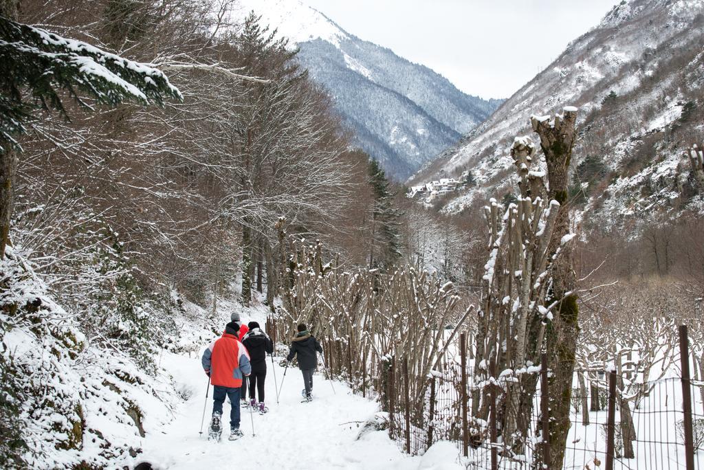 Verneda Mountain 2*
