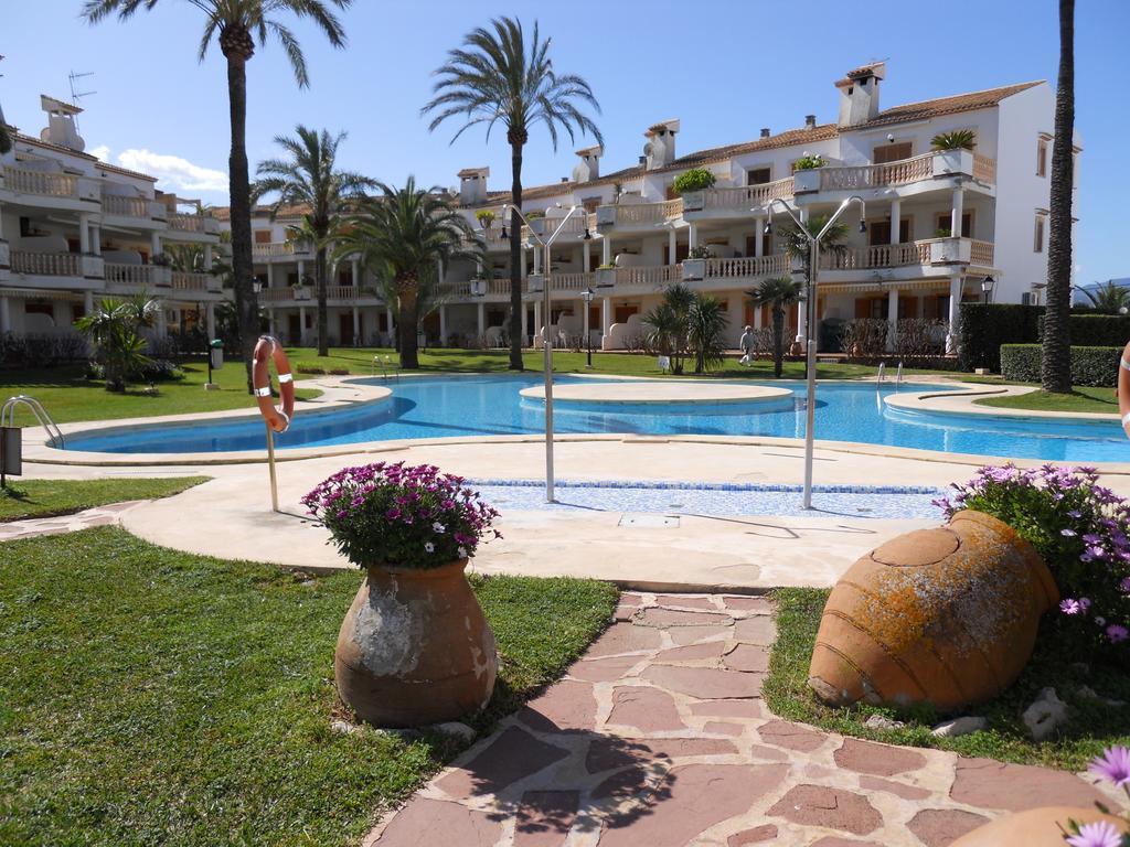 Blau-serviden * Denia