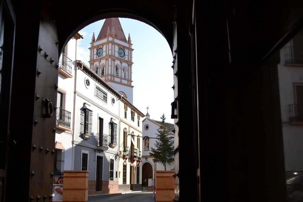 Hotel & Spa Plaza Arriate 3*