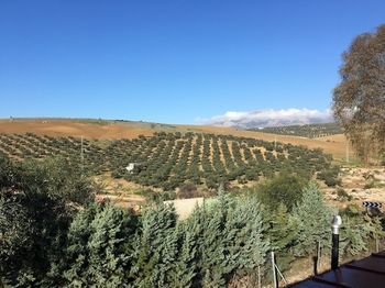 Bed & Breakfast Dos Alamos B&B 3*
