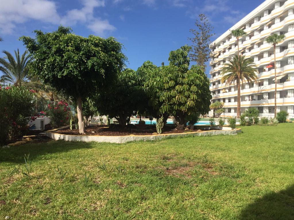 Apartamento Paraiso *
