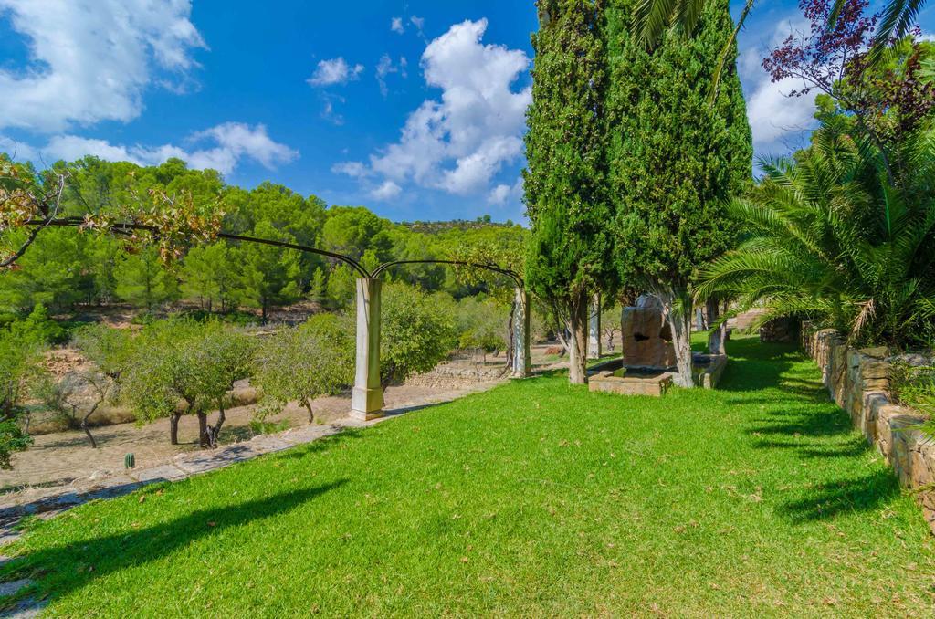 Bolei Sant Elm